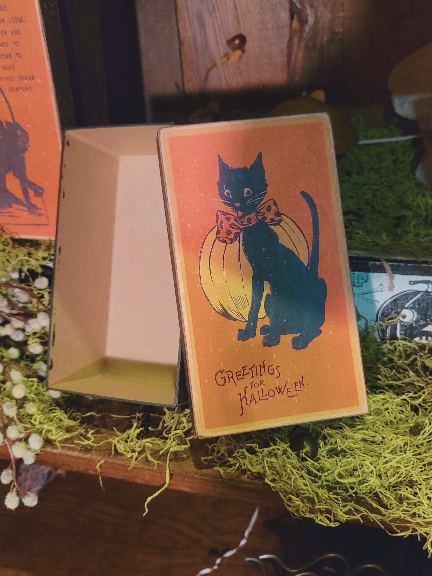Vintage Halloween Style Retro Black Cat Box