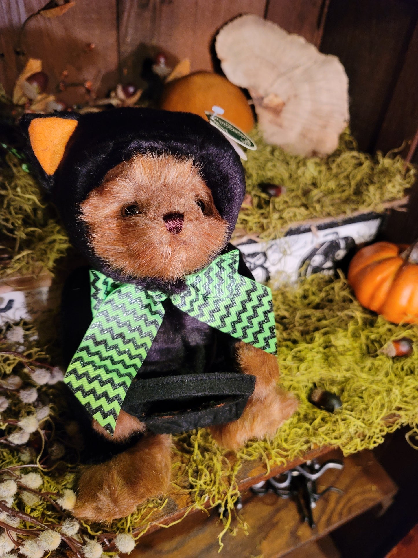 Vintage Halloween Style Plush Hooded Black Cat Trick or Treater Bear