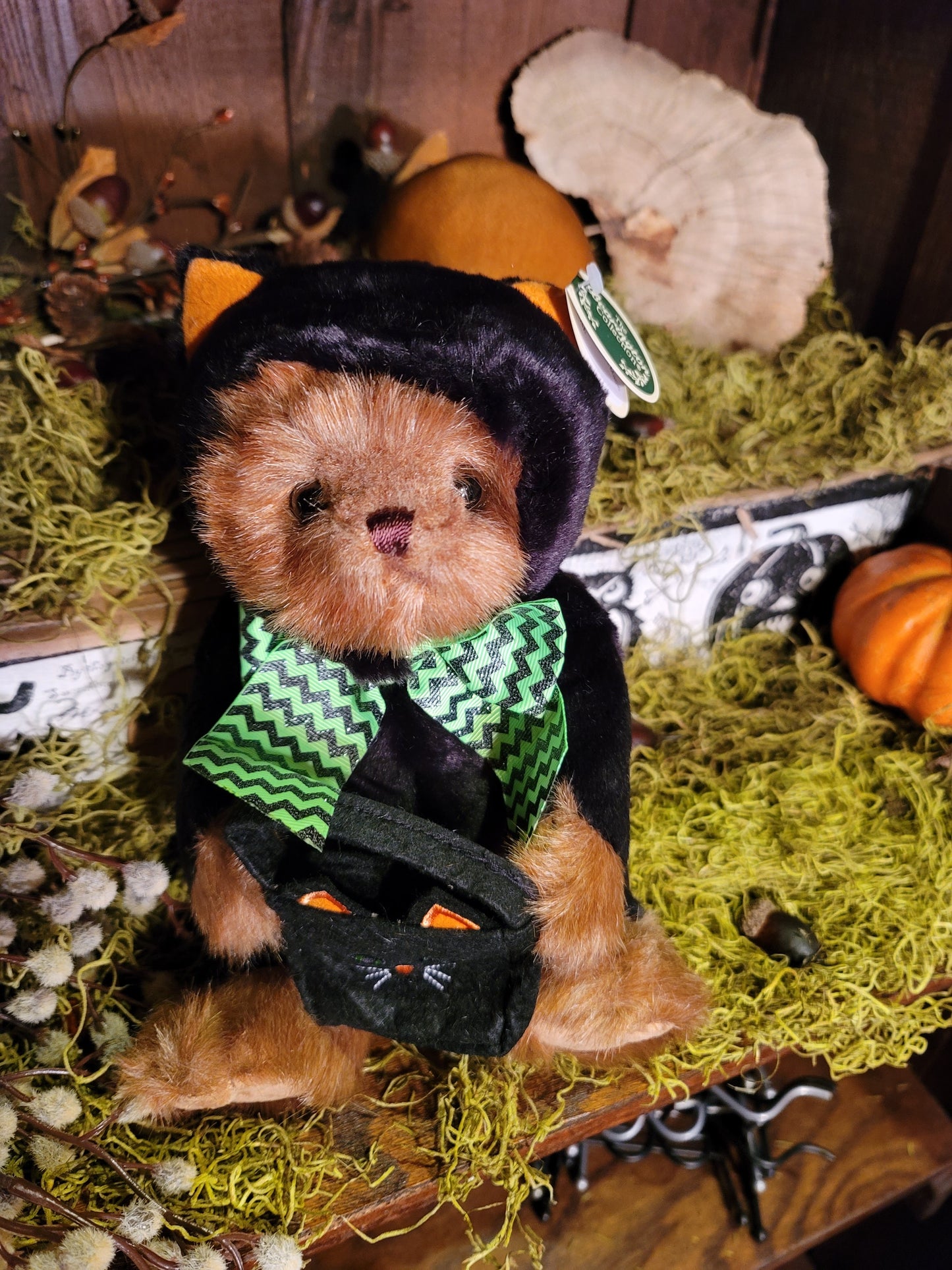 Vintage Halloween Style Plush Hooded Black Cat Trick or Treater Bear