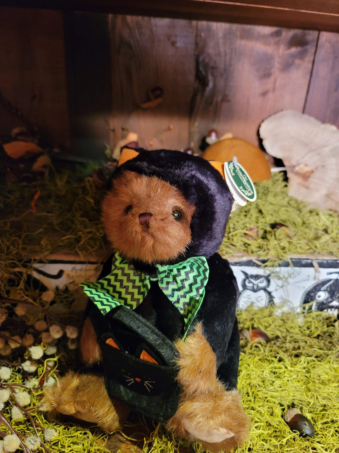 Vintage Halloween Style Plush Hooded Black Cat Trick or Treater Bear
