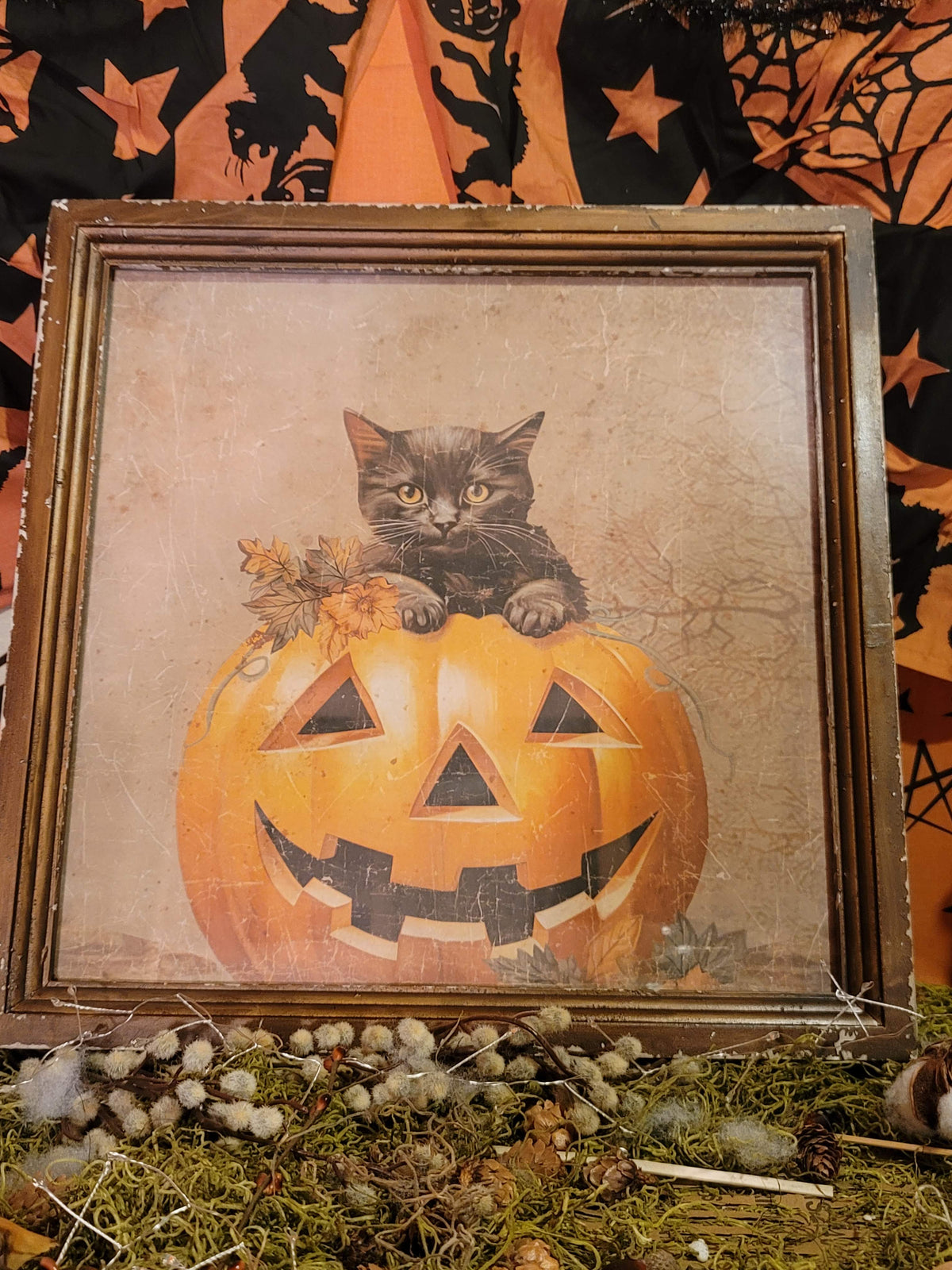 Vintage Halloween Style Cat in Jack-o-Lantern Pumpkin Framed Print