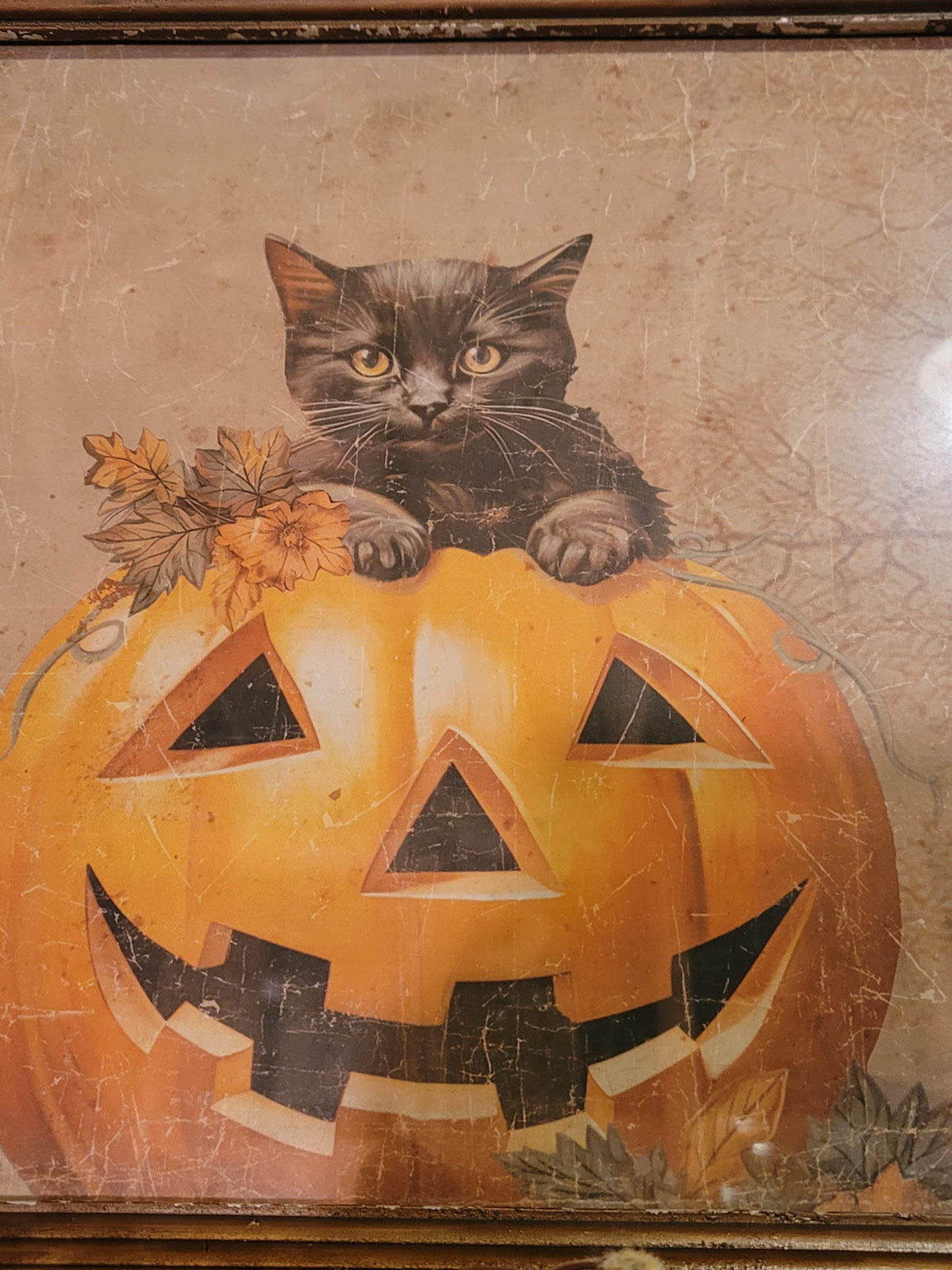 Vintage Halloween Style Cat in Jack-o-Lantern Pumpkin Framed Print