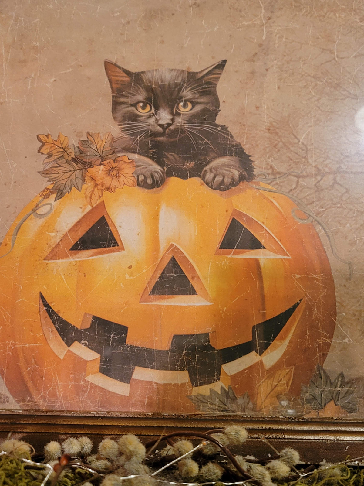Vintage Halloween Style Cat in Jack-o-Lantern Pumpkin Framed Print
