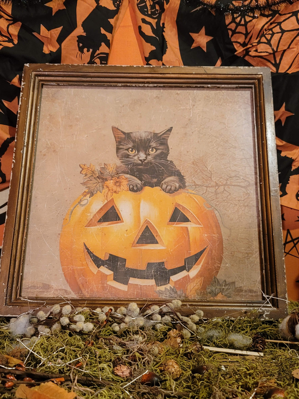 Vintage Halloween Style Cat in Jack-o-Lantern Pumpkin Framed Print