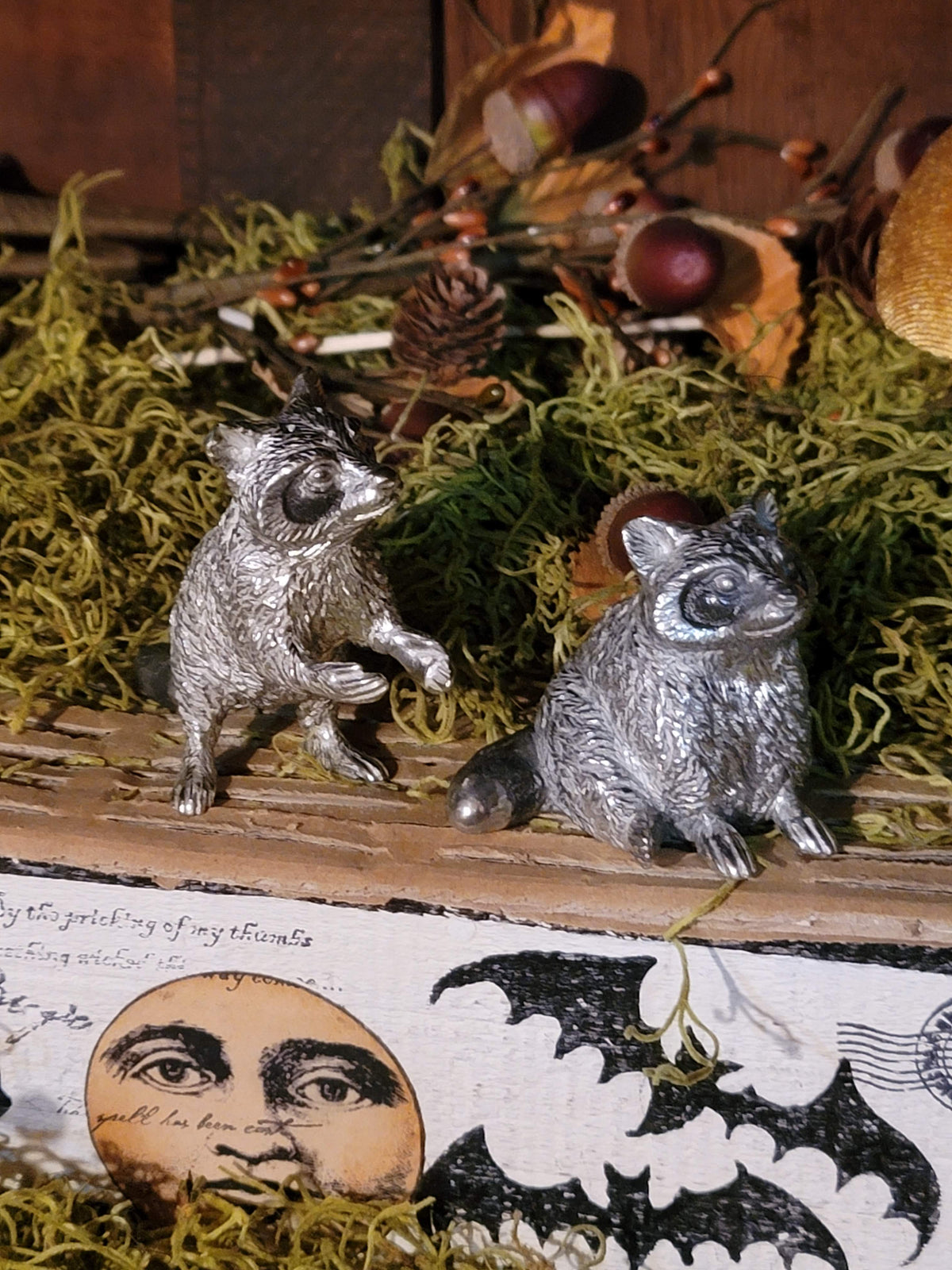 Vagabond House Raccoon Salt and Pepper Shaker Set  "Please Forgive Me"