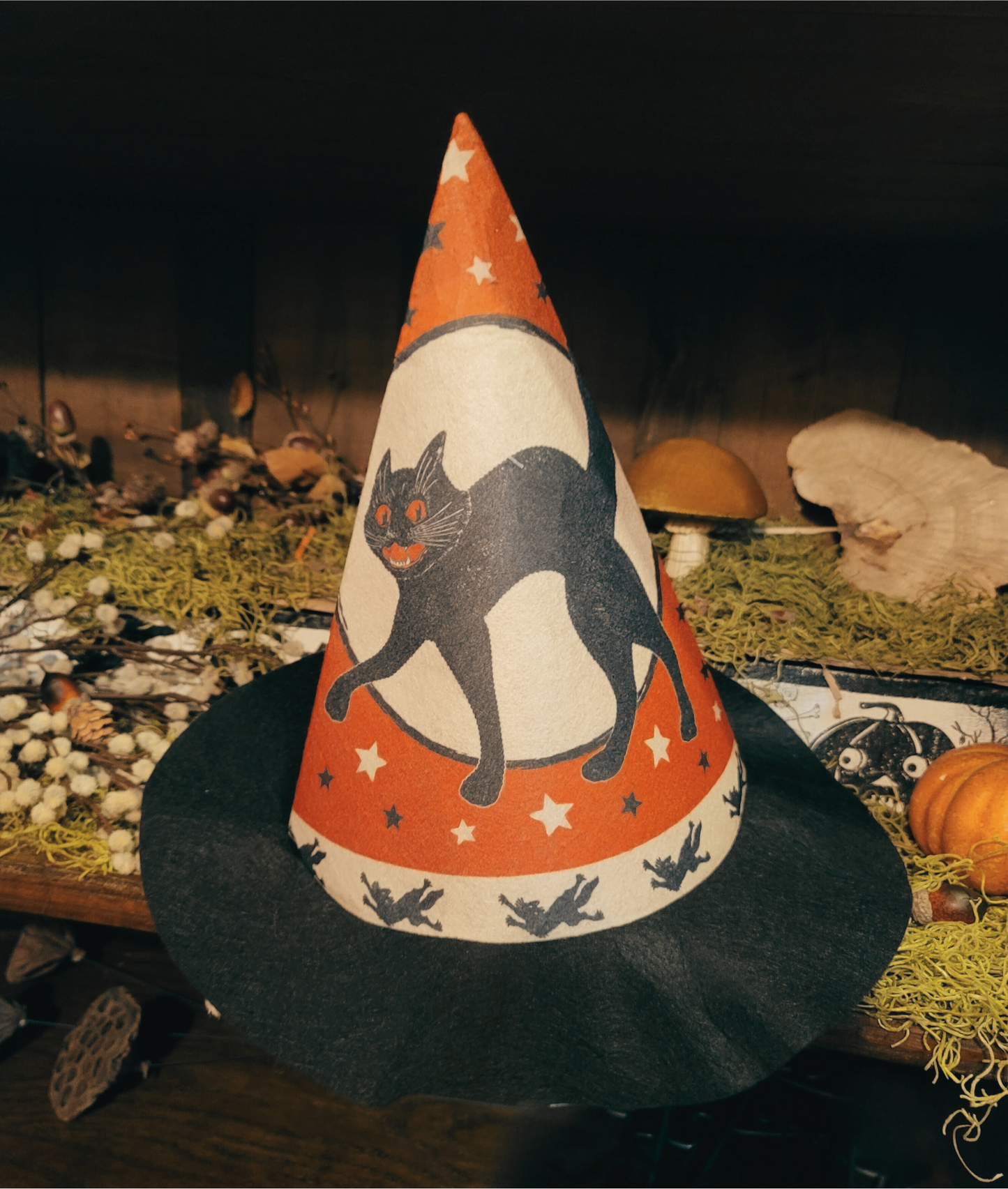 Vintage Halloween Style Felt Witch Hat