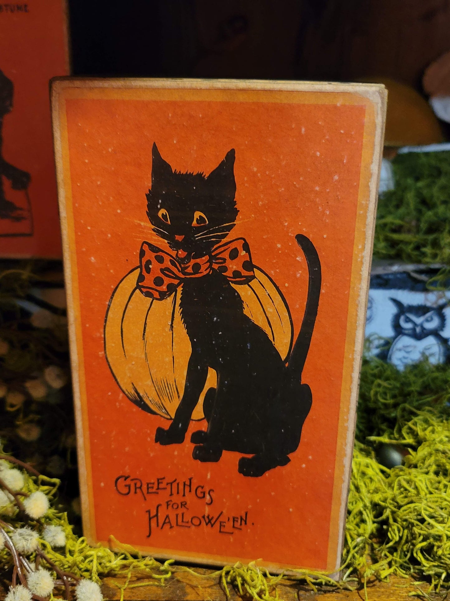 Vintage Halloween Style Retro Black Cat Box